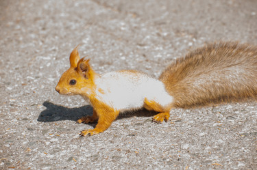 Similar image 21832138