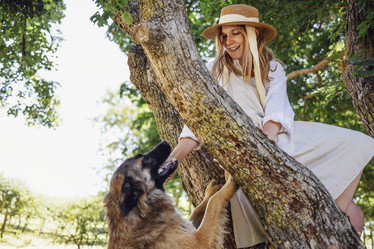 Similar image 21836922