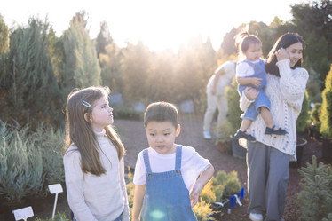 Similar image 21836938