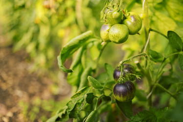 Similar image 21838113