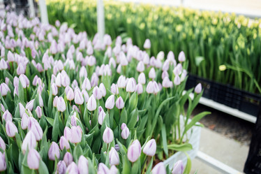 Similar image 21838953