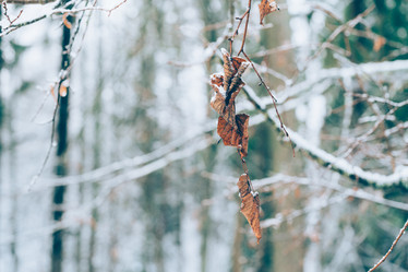 Similar image 21835730