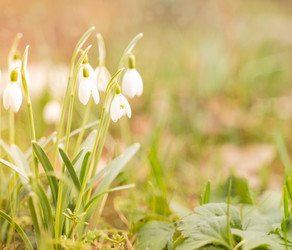 Similar image 21835552