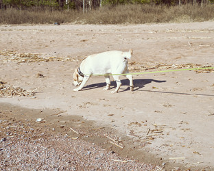 Similar image 21835804