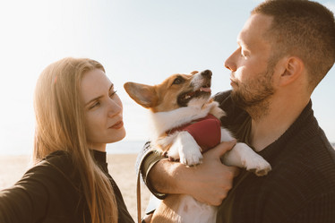 Similar image 21830837