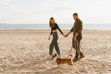 Similar image 21830839