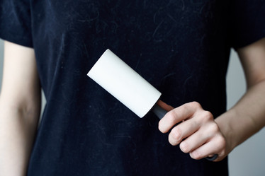 Similar image 21835007