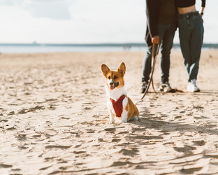 Similar image 21835026