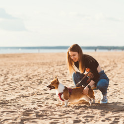 Similar image 21835030