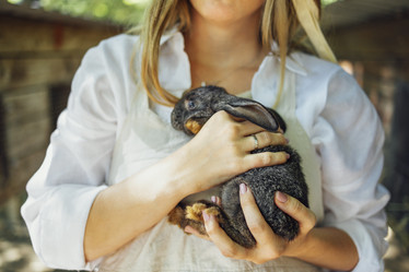 Similar image 21836955