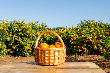 Similar image 21829083