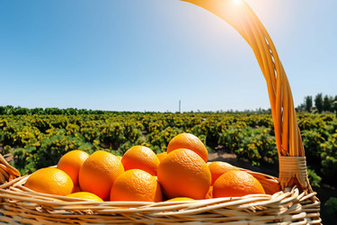 Similar image 21829084