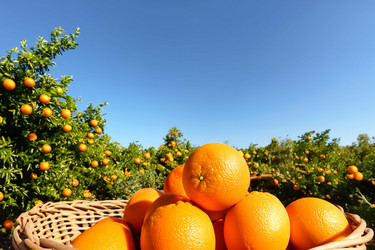 Similar image 21829085