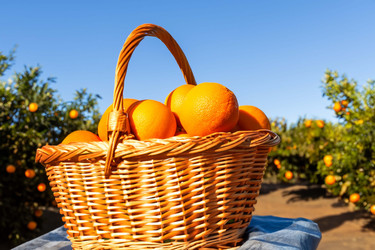 Similar image 21829086