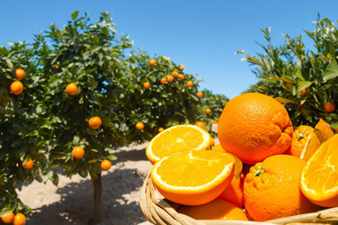 Similar image 21829087