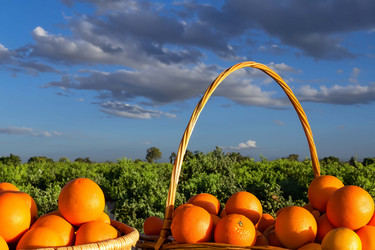 Similar image 21829088