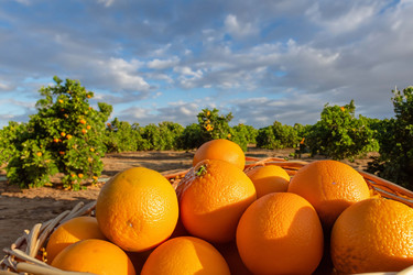 Similar image 21829089