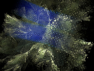 Similar image 21830448