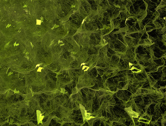 Similar image 21830449