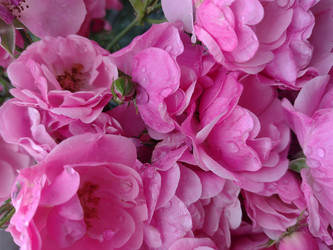 Similar image 21838471