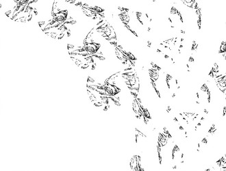 Similar image 21830009