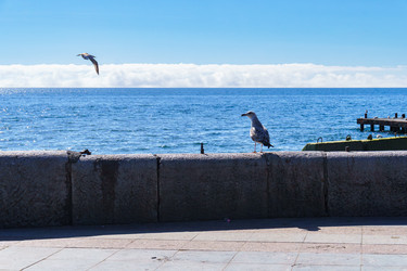 Similar image 21833142