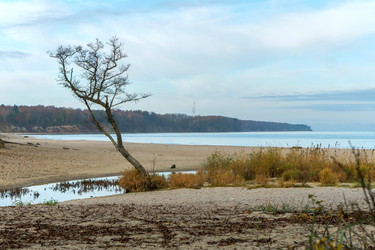 Similar image 21853676