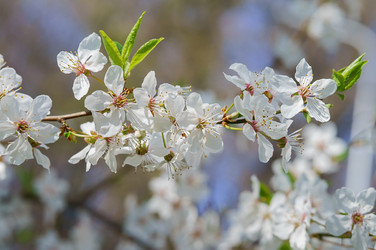 Similar image 21843045