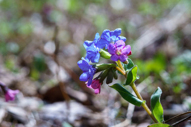 Similar image 21853680