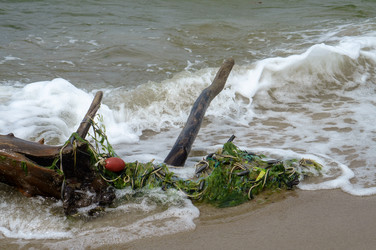 Similar image 21853682