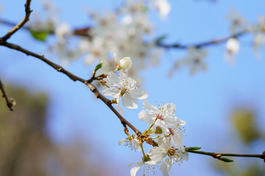 Similar image 21841782