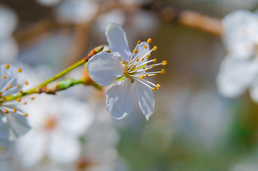 Similar image 21855622