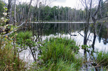 Similar image 21855623