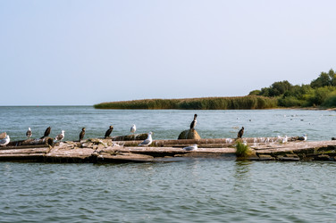 Similar image 21836695