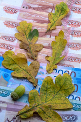 Similar image 21855624