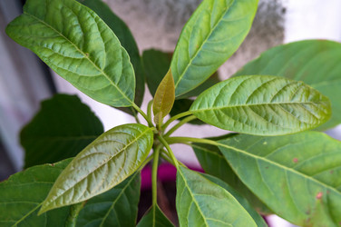 Similar image 21843050