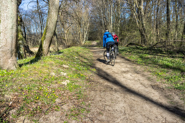 Similar image 21843051