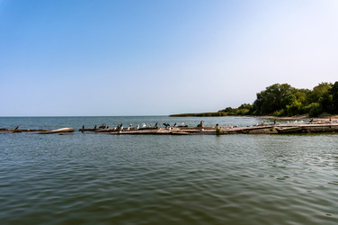 Similar image 21835181