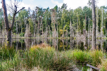 Similar image 21835186