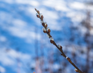 Similar image 21836703