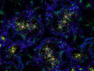 Similar image 21830932