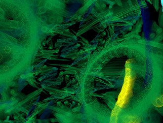 Similar image 21830250