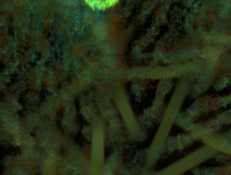 Similar image 21830271