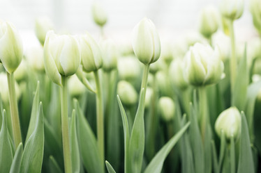 Similar image 21836991