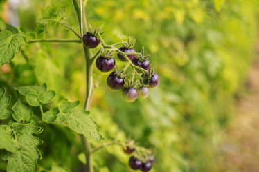 Similar image 21837016