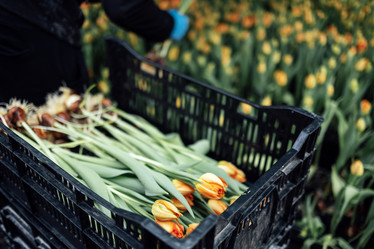 Similar image 21838115