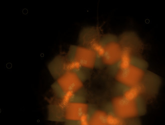 Similar image 21830499