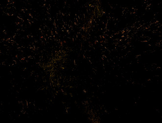 Similar image 21830061