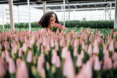 Similar image 21836606