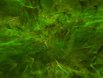 Similar image 21830318